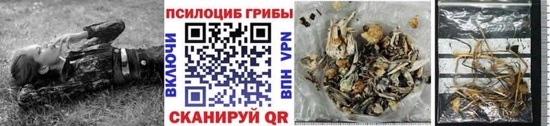 Псилоцибиновые грибы ЛСД  Сухой Лог 
